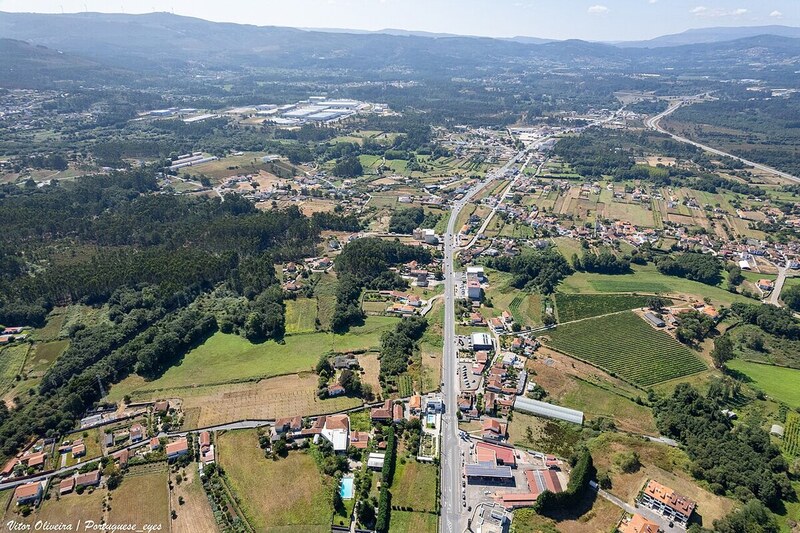 Arão